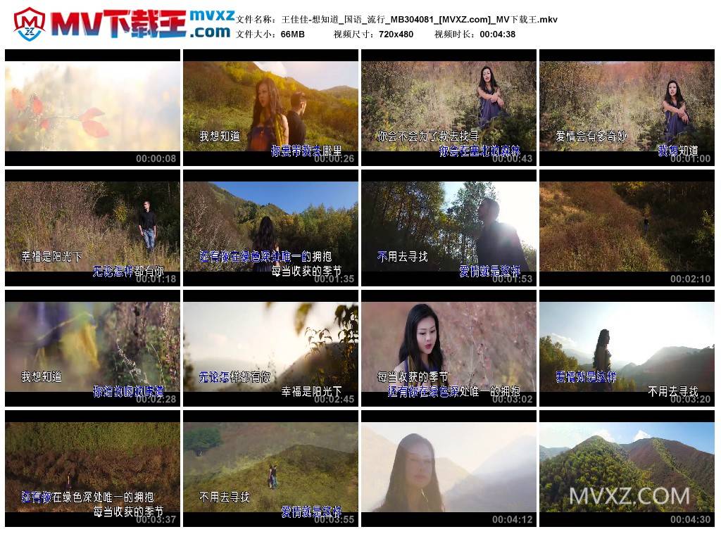 王佳佳-想知道_国语_流行_MB304081